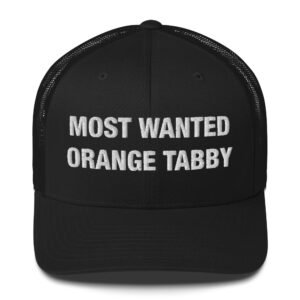 Most wanted orange tabby - Trucker Cap